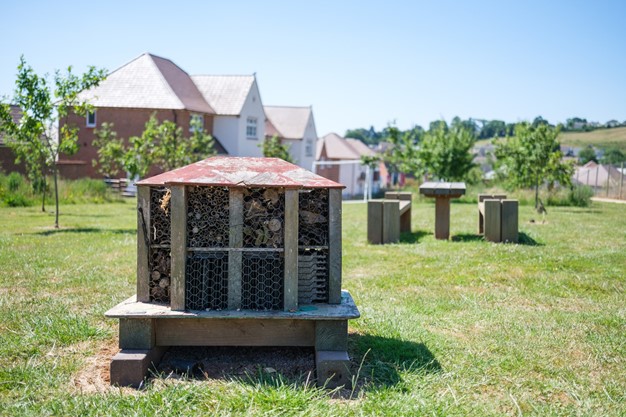 Bumblebees on site